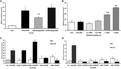 Influence of methadone on the anticonvulsant efficacy of valproate sodium gabapentin against maximal electroshock seizure in mice by regulation of brain MDA TNF-α